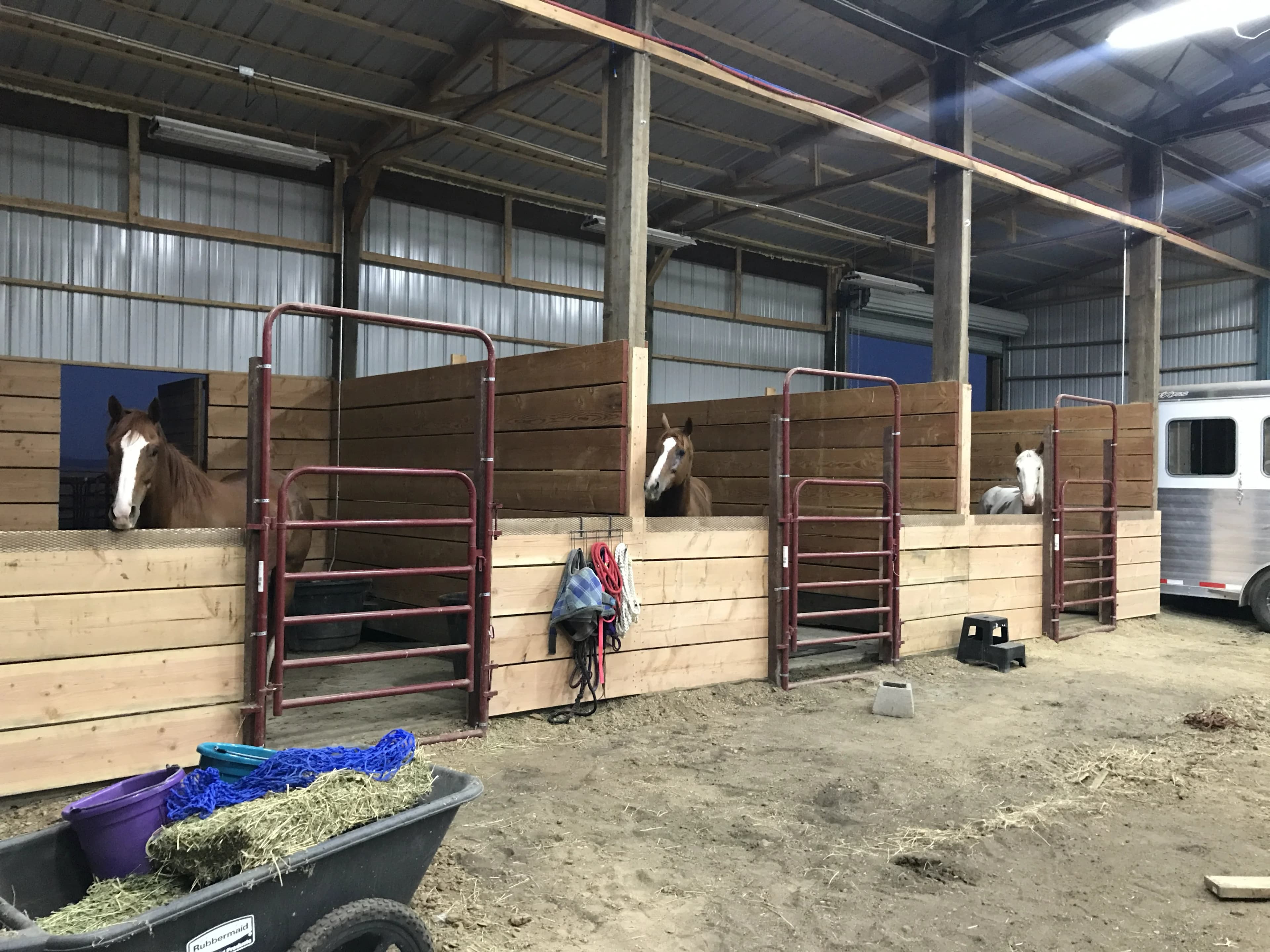 Commercial Barn Interior with Stalls